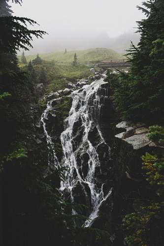 ashford waterfall scenery united states